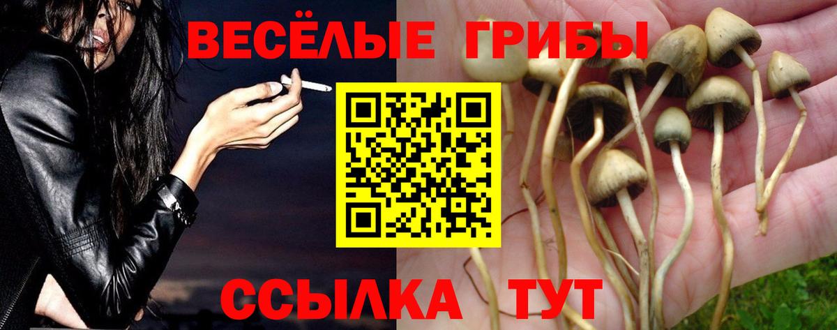 Люберцы  Псилоцибиновые грибы MAGIC MUSHROOMS  Вход с VPN  купить закладку  Галлюциногенные грибы прущие грибы 